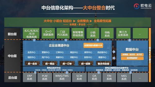 欧电云荣膺 2018 2019年度上海电子商务示范企业