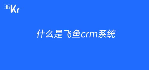 什么是飞鱼crm系统